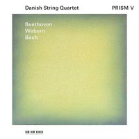 Produktbild: Prism V