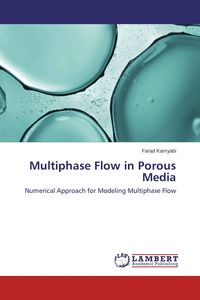 Produktbild: Multiphase Flow in Porous Media