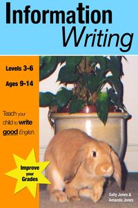 Produktbild: Information Writing