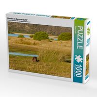 Produktbild: CALVENDO Puzzle Wombat im Narawntapu NP | 1000 Teile Lege-Gr&ouml;&szlig;e 64x48cm Foto-Puzzle f&uuml;r gl&uuml;ckliche Stunden