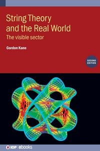 Produktbild: String Theory and the Real World (Second Edition)