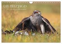 Produktbild: Die Beizjagd (Wandkalender 2026 DIN A4 quer), CALVENDO Monatskalender