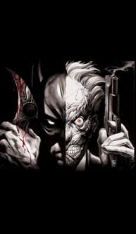 Produktbild: Batman Vs Two Face TP