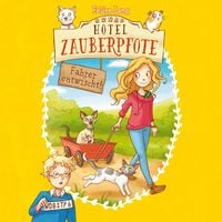 Produktbild: Hotel Zauberpfote 3: Fahrer entwischt!