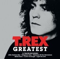 Produktbild: T. Rex: Greatest