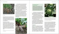 Gesunder Garten durch Mischkultur