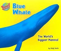 Produktbild: Blue Whale
