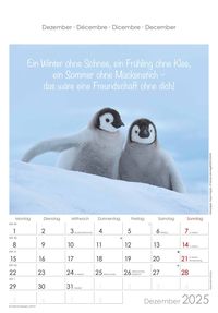 Kleine Freunde 2025 - Bildkalender 23,7x34 cm - Kalender mit Platz für  Notizen - mit vielen Zusatzinformationen - Wandkalender - Alpha Edition' - ' Wandkalender