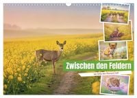 Produktbild: Zwischen den Feldern (Wandkalender 2027 DIN A3 quer), CALVENDO Monatskalender