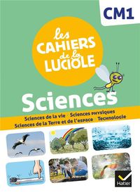 Produktbild: Les cahiers de la luciole cm1 ed.