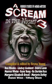 Produktbild: A Scream in the Night 3