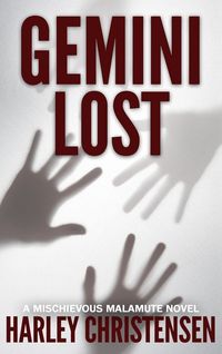 Produktbild: Gemini Lost