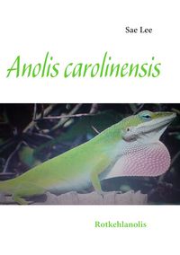 Produktbild: Anolis carolinensis