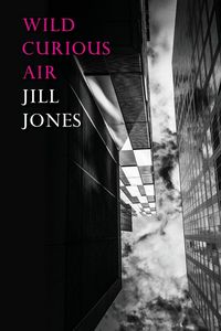Produktbild: Wild Curious Air