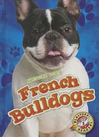 Produktbild: French Bulldogs