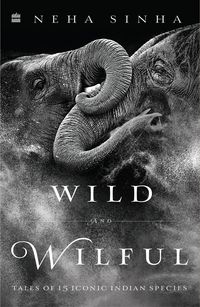 Produktbild: Wild And Wilful