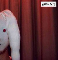 Produktbild: Bunny