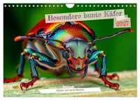 Produktbild: Besondere bunte K&auml;fer (Wandkalender 2027 DIN A4 quer), CALVENDO Monatskalender