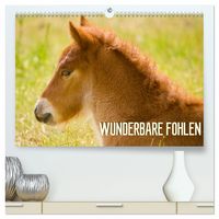 Produktbild: Wunderbare Fohlen (hochwertiger Premium Wandkalender 2027 DIN A2 quer), Kunstdruck in Hochglanz