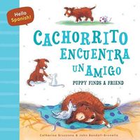 Produktbild: Hello Spanish! Puppy Finds a Friend / Cachorrito Encuentra Un Amigo