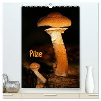 Produktbild: Pilze (hochwertiger Premium Wandkalender 2027 DIN A2 hoch), Kunstdruck in Hochglanz