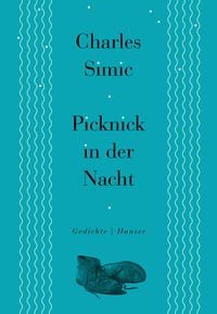 Produktbild: Picknick in der Nacht