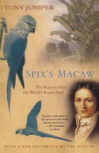 Produktbild: Spix's Macaw