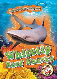 Produktbild: Whitetip Reef Sharks