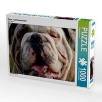 Produktbild: CALVENDO Puzzle Oscar vom Frankenstein | 1000 Teile Lege-Gr&ouml;&szlig;e 64x48cm Foto-Puzzle f&uuml;r gl&uuml;ckliche Stunden