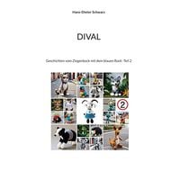 Produktbild: Dival