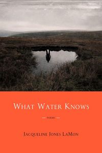 Produktbild: What Water Knows