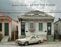Produktbild: After the Flood