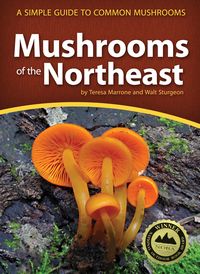 Produktbild: Mushrooms of the Northeast