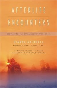 Produktbild: Afterlife Encounters