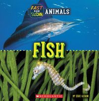 Produktbild: Fish (Wild World: Fast and Slow Animals)