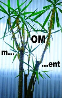 Produktbild: M...OM...ent