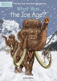 Produktbild: WHAT WAS THE ICE AGE