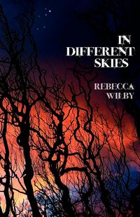 Produktbild: In Different Skies