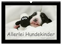 Produktbild: Allerlei Hundekinder (Wandkalender 2027 DIN A3 quer), CALVENDO Monatskalender