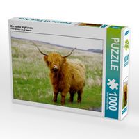 Produktbild: CALVENDO Puzzle Ein echter Highlander 1000 Teile Puzzle quer | 1000 Teile Lege-Gr&ouml;&szlig;e 64 &times; 48 cm Foto-Puzzle f&uuml;r gl&uuml;ckliche Stunden