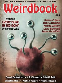Produktbild: Weirdbook #45