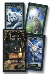 Produktbild: Tarot Familiars