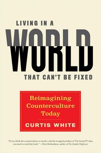 Produktbild: Living in a World that Can't Be Fixed