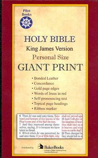 Produktbild: Holy Bible