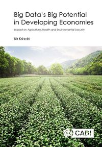 Produktbild: Big Data's Big Potential in Developing Economies