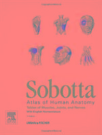 Produktbild: Paulsen, F: Sobotta Tables of Muscles, Joints and Nerves, En
