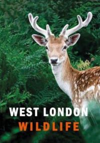 Produktbild: West London Wildlife
