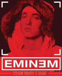 Bild vom Artikel The Way I Am vom Autor Eminem