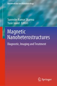 Produktbild: Magnetic Nanoheterostructures