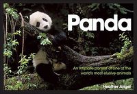 Produktbild: Panda